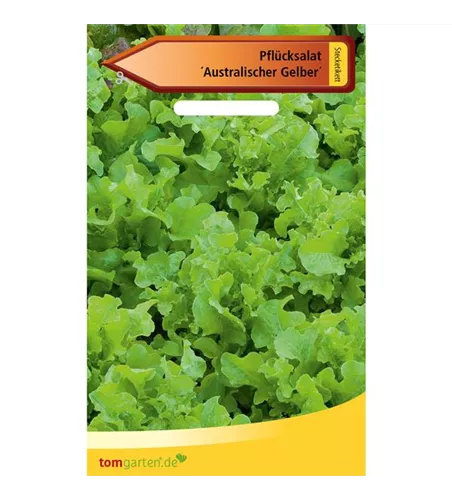 Pflücksalat 'Australischer Gelber'