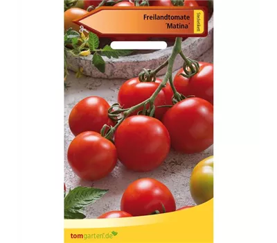 Tomate 'Matina'