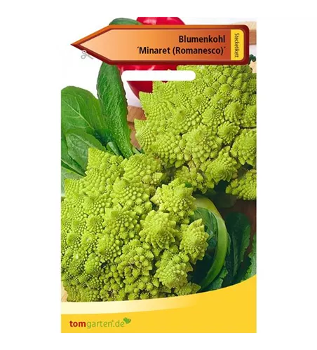 Romanesco-Blumenkohl 'Minaret'