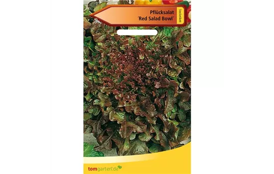 Eichblattsalat 'Red Salad Bowl' Eichblattsalat 'Red Salad Bowl'