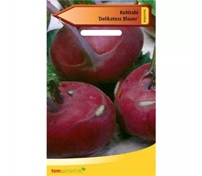 Kohlrabi 'Blauer Delikateß' Kohlrabi 'Blauer Delikateß'