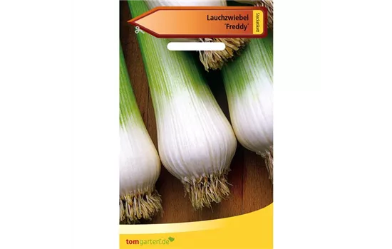 Winterzwiebel 'Freddy' Winterzwiebel 'Freddy'
