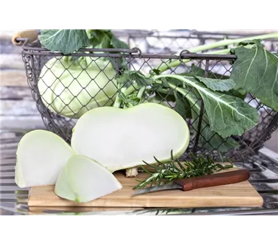 Kohlrabi 'Superschmelz' Kohlrabi 'Superschmelz'