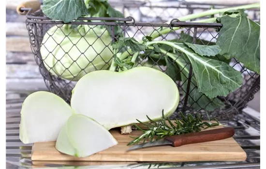Kohlrabi 'Superschmelz' Kohlrabi 'Superschmelz'