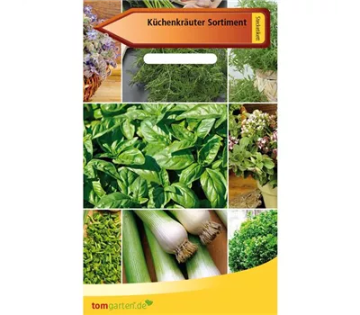 Küchenkräuter Küchenkräuter