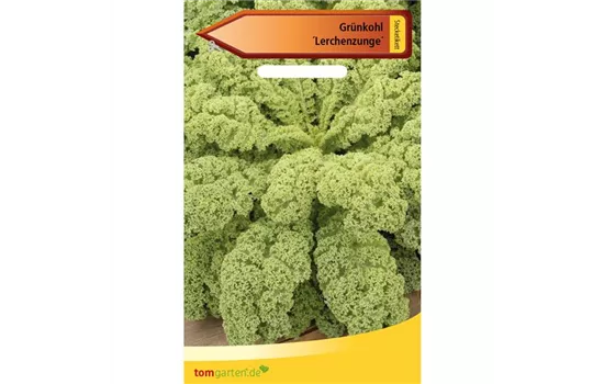 Grünkohl 'Lerchenzungen' Grünkohl 'Lerchenzungen'