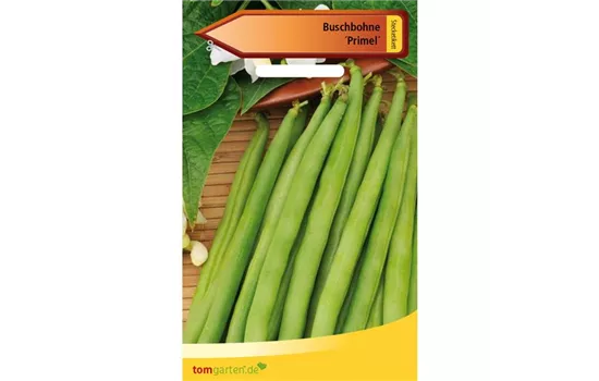 Busch-Bohne 'Primel' Busch-Bohne 'Primel'