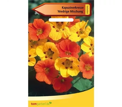 Kapuzinerkresse 'Niedrige Mischung' Kapuzinerkresse 'Niedrige Mischung'