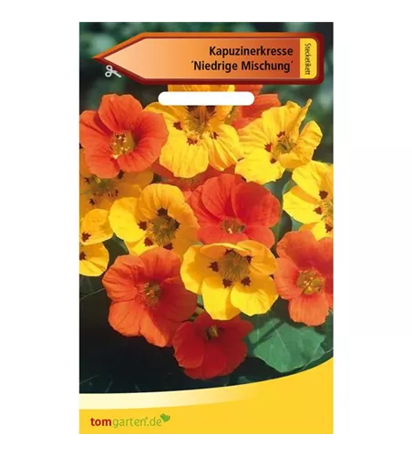 Kapuzinerkresse 'Niedrige Mischung'