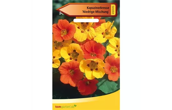 Kapuzinerkresse 'Niedrige Mischung' Kapuzinerkresse 'Niedrige Mischung'