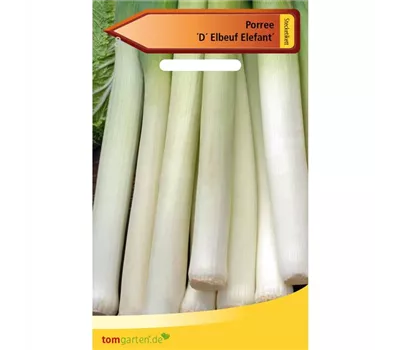 Lauch 'D´Elbeuf' Lauch 'D´Elbeuf'