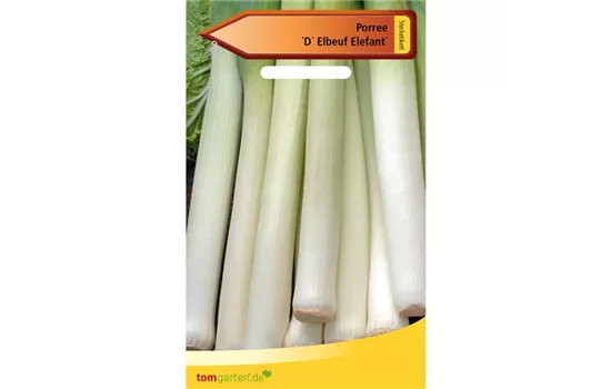 Lauch 'D´Elbeuf' Lauch 'D´Elbeuf'