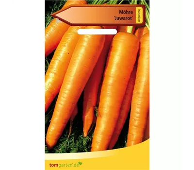 Möhre 'Juwarot'
