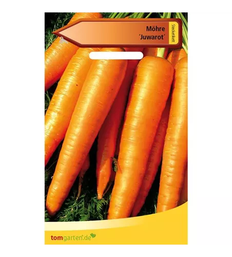 Möhre 'Juwarot'