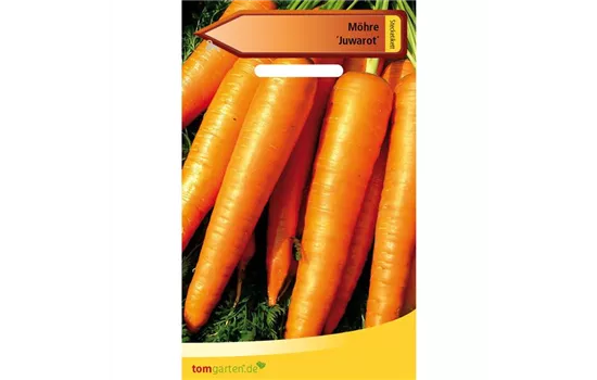 Möhre 'Juwarot' Möhre 'Juwarot'