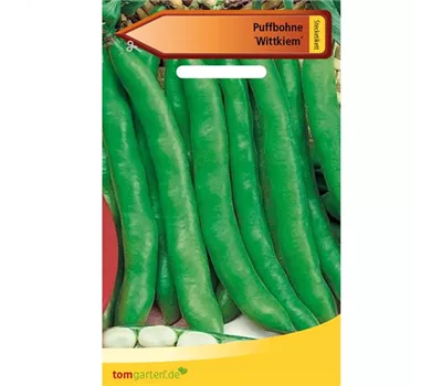 Puffbohne 'Wittkiem' Puffbohne 'Wittkiem'