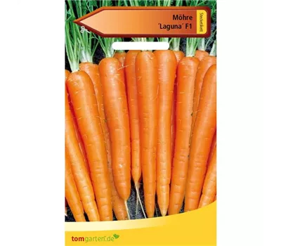 Möhre 'Laguna F1'
