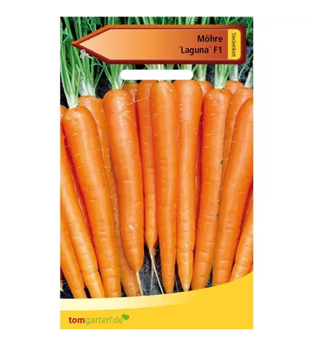 Möhre 'Laguna F1'