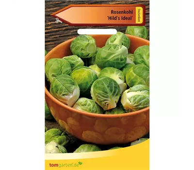 Rosenkohl 'Hilds Ideal' Rosenkohl 'Hilds Ideal'