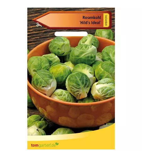 Rosenkohl 'Hilds Ideal'