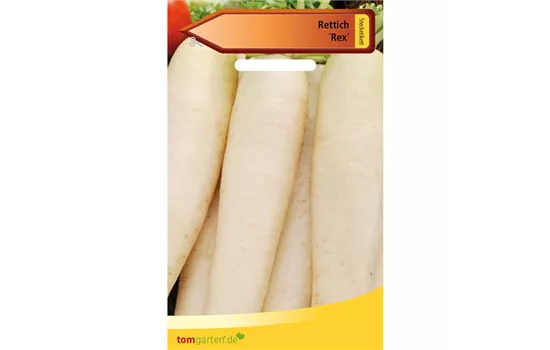 Rettich 'Rex' Rettich 'Rex'