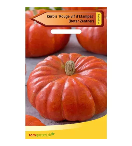 Speise-Kürbis 'Rouge vif d´Etampes'