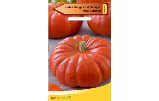Speise-Kürbis 'Rouge vif d´Etampes' Speise-Kürbis 'Rouge vif d´Etampes'