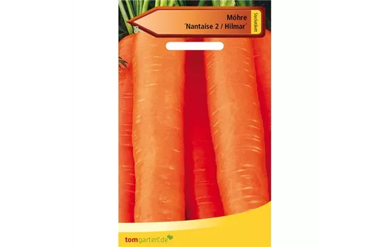 Möhre 'Hilmar' Möhre 'Hilmar'