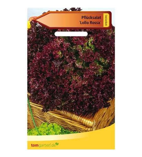 Pflücksalat 'Lollo rosso'