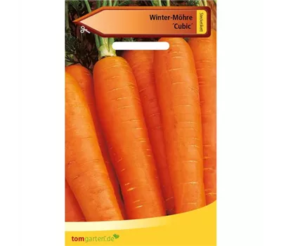 Winter-Möhre 'Cubic'