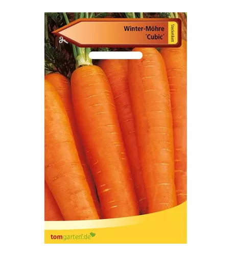 Winter-Möhre 'Cubic'