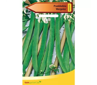 Prunkbohne 'Mergoles' Prunkbohne 'Mergoles'