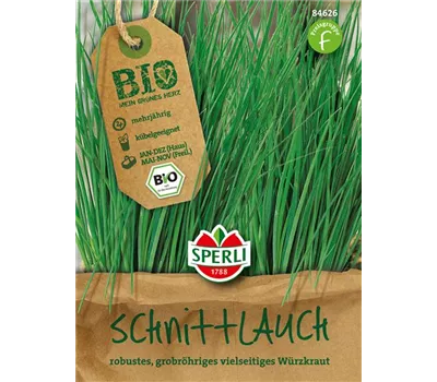 Schnittlauch Schnittlauch