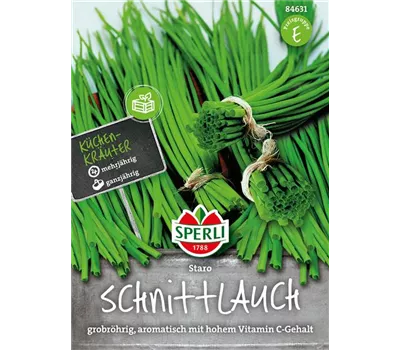 Schnittlauch 'Staro' Schnittlauch 'Staro'