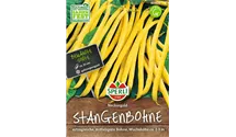 Phaseolus vulgaris var. vulgaris 'Neckargold'