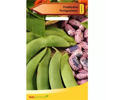 Prunk-Bohne 'Preisgewinner' Prunk-Bohne 'Preisgewinner'