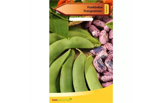 Prunk-Bohne 'Preisgewinner' Prunk-Bohne 'Preisgewinner'
