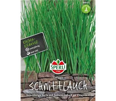 Schnittlauch 'Twiggy' Schnittlauch 'Twiggy'