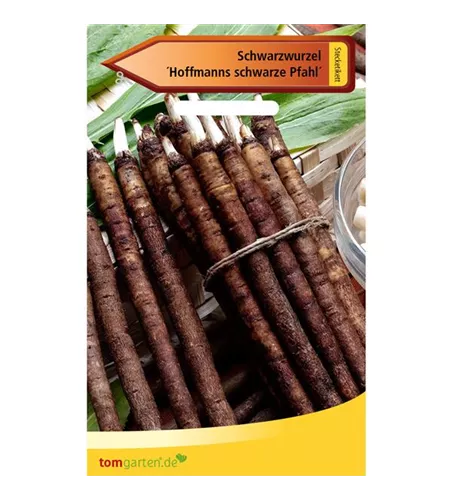 Schwarzwurzel 'Hoffmanns schwarze Pfahl'