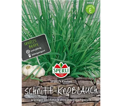 Schnittknoblauch 'Knolau' Schnittknoblauch 'Knolau'