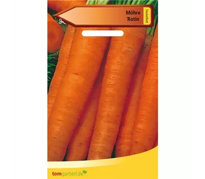 Möhre 'Rotin'