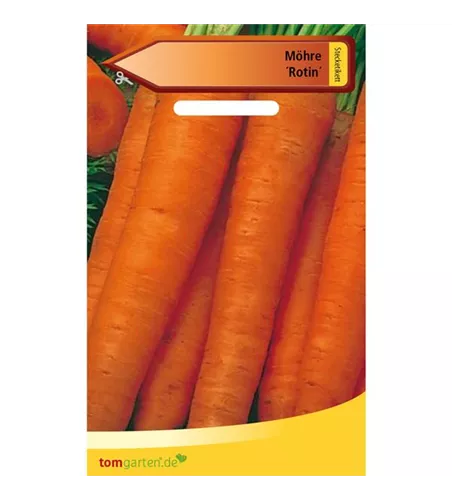 Möhre 'Rotin'