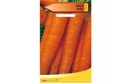 Möhre 'Rotin' Möhre 'Rotin'