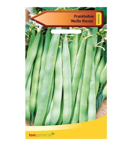 Prunk-Bohne 'Weiße Riesen'