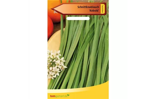 Schnittknoblauch 'Knobold' Schnittknoblauch 'Knobold'