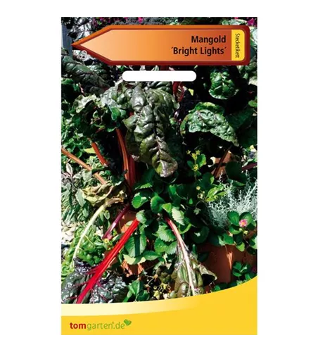 Blatt-Mangold 'Bright Lights'