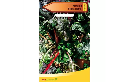 Blatt-Mangold 'Bright Lights' Blatt-Mangold 'Bright Lights'