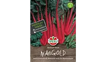 Beta vulgaris var. cicla 'Rhubarb Chard'