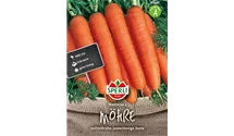 Daucus carota var. sativus 'Nantaise 2'