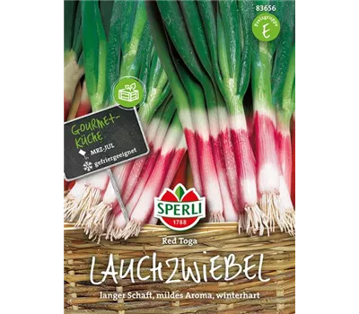 Lauchzwiebel 'Red Toga' Lauchzwiebel 'Red Toga'